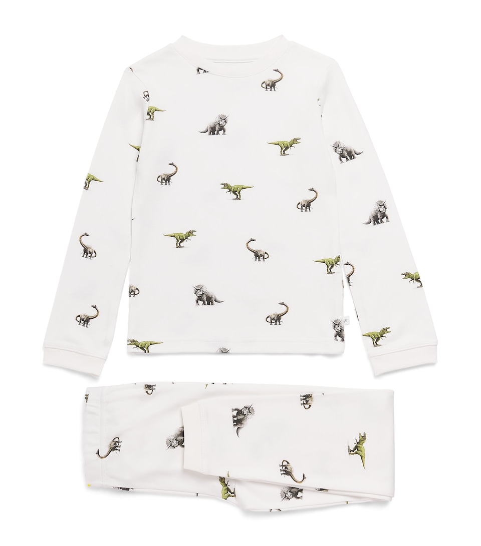 Rosa & Blue Dinosaur Pyjama Set (4-5 Years) Dinosaur