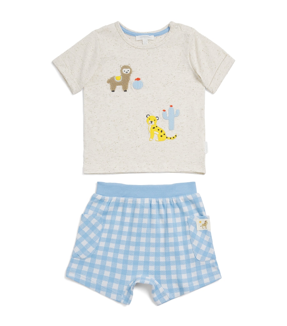 Organic Cotton T-Shirt and Shorts Set (0-18 Months)