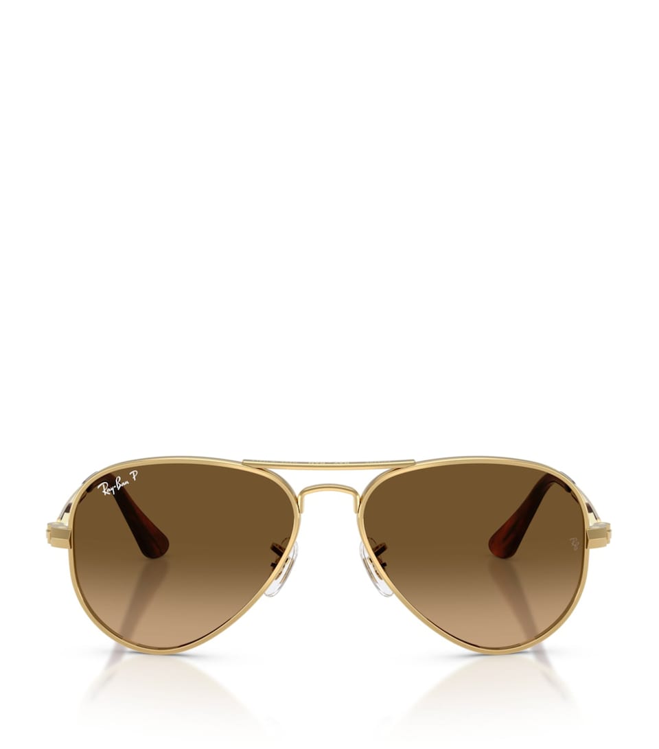 RB3925 Aviator Max Sunglasses