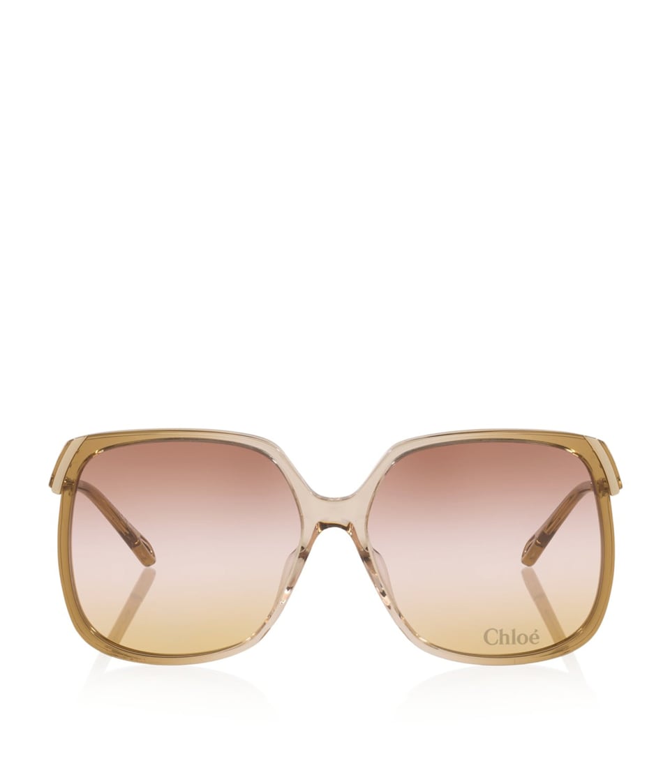 Acetate CH0286S Rectangle Sunglasses