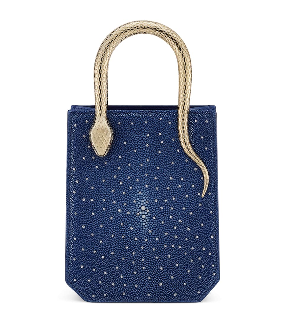 Mini Galuchat Leather Serpentine Tote Bag