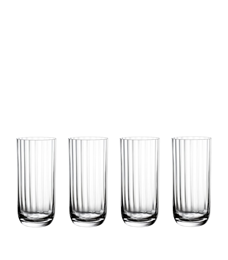 Set of 4 Rose Garden Highball Tumblers (300ml)