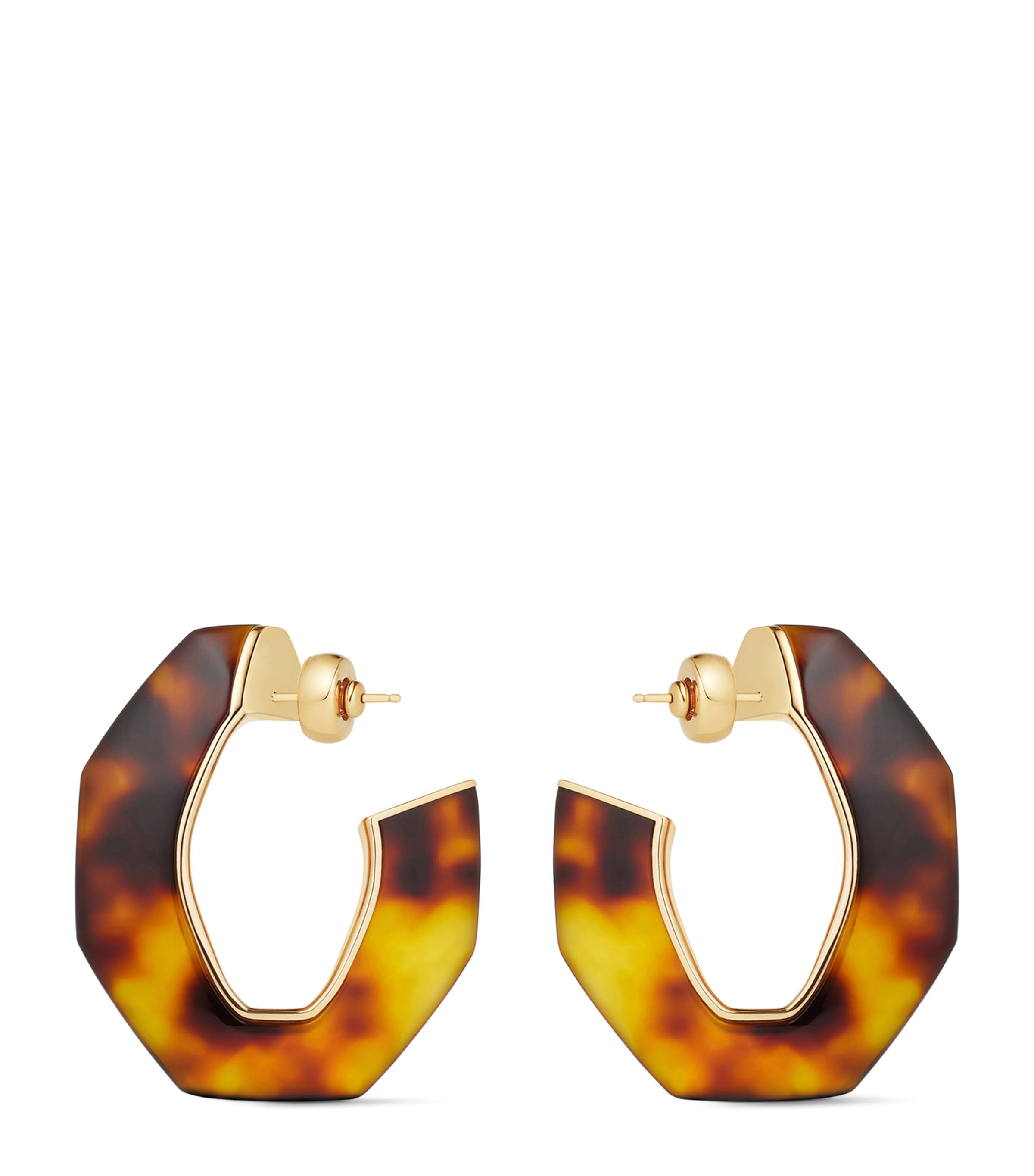 Large Tortoiseshell Earrings