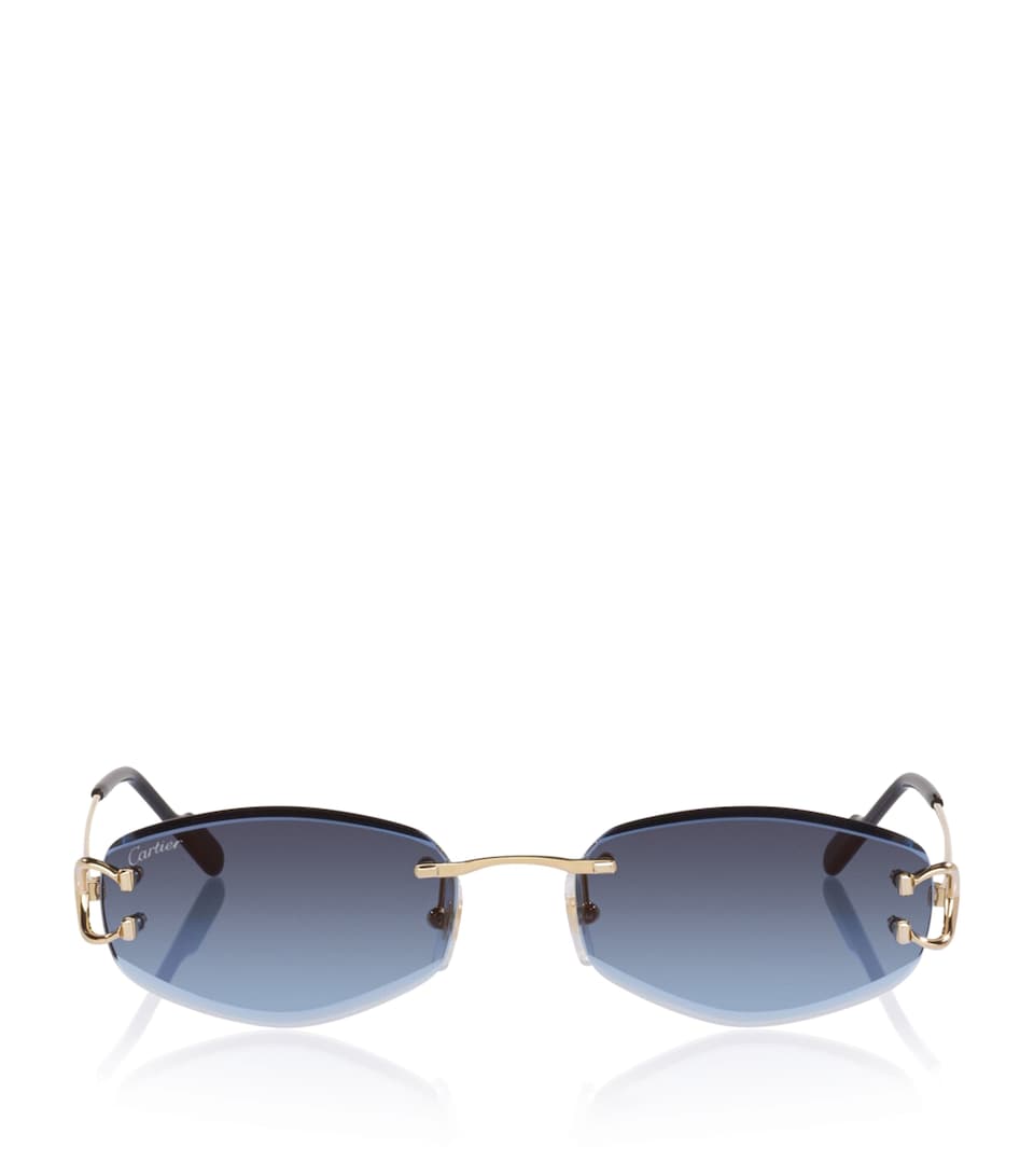 Cartier CT0467S Irregular Sunglasses