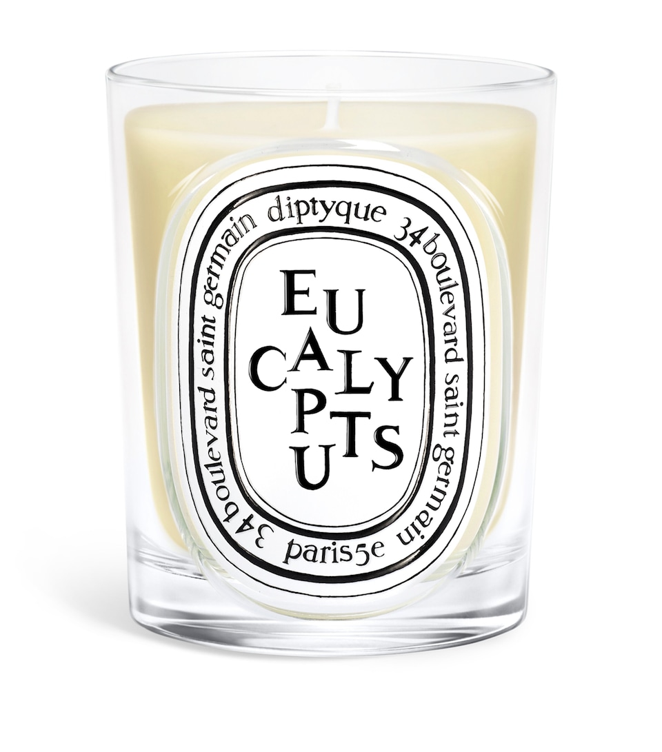 Diptyque Eucalyptus Candle (190g)