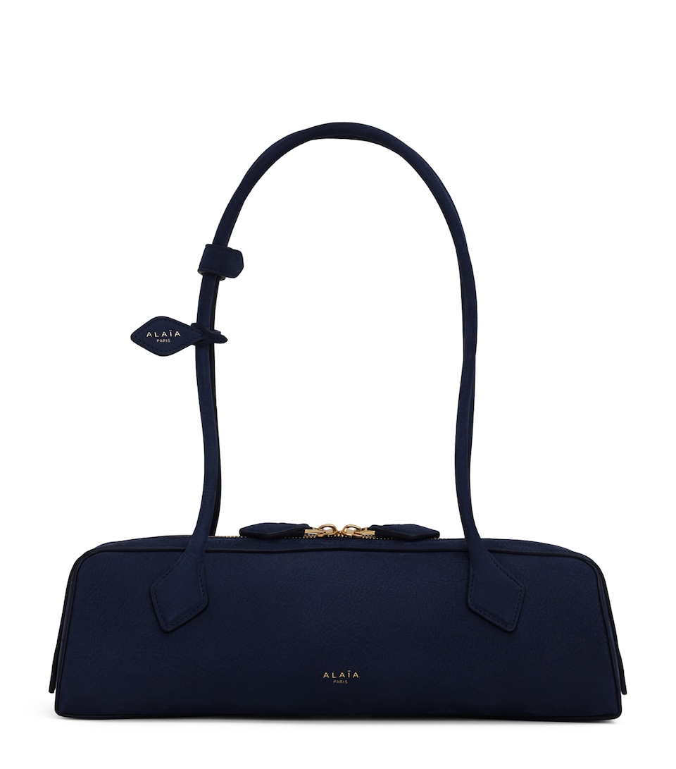 Medium Nubuck Le Teckel Shoulder Bag