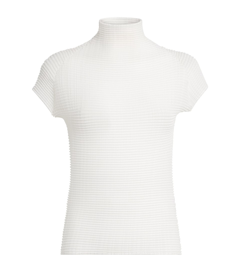 Wooly Pleats Top