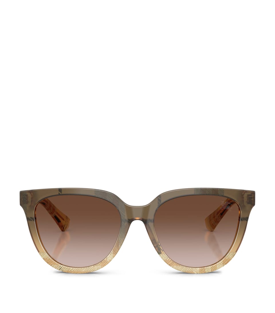 Burberry Acetate BE4469 Phantos Sunglasses Brown
