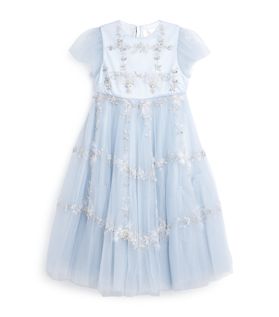 Embellished Tulle Dress (2-14 Years)