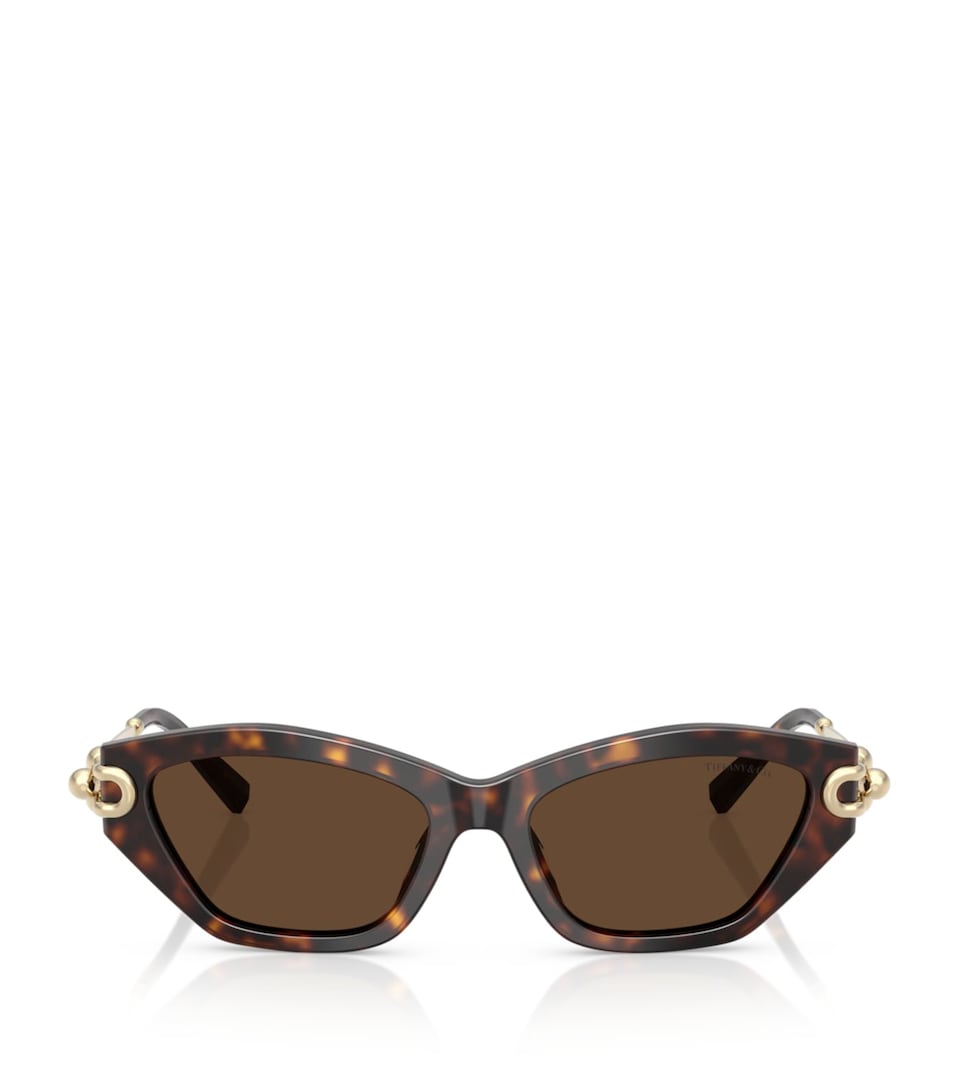 Acetate Cat Eye TF4231U Sunglasses