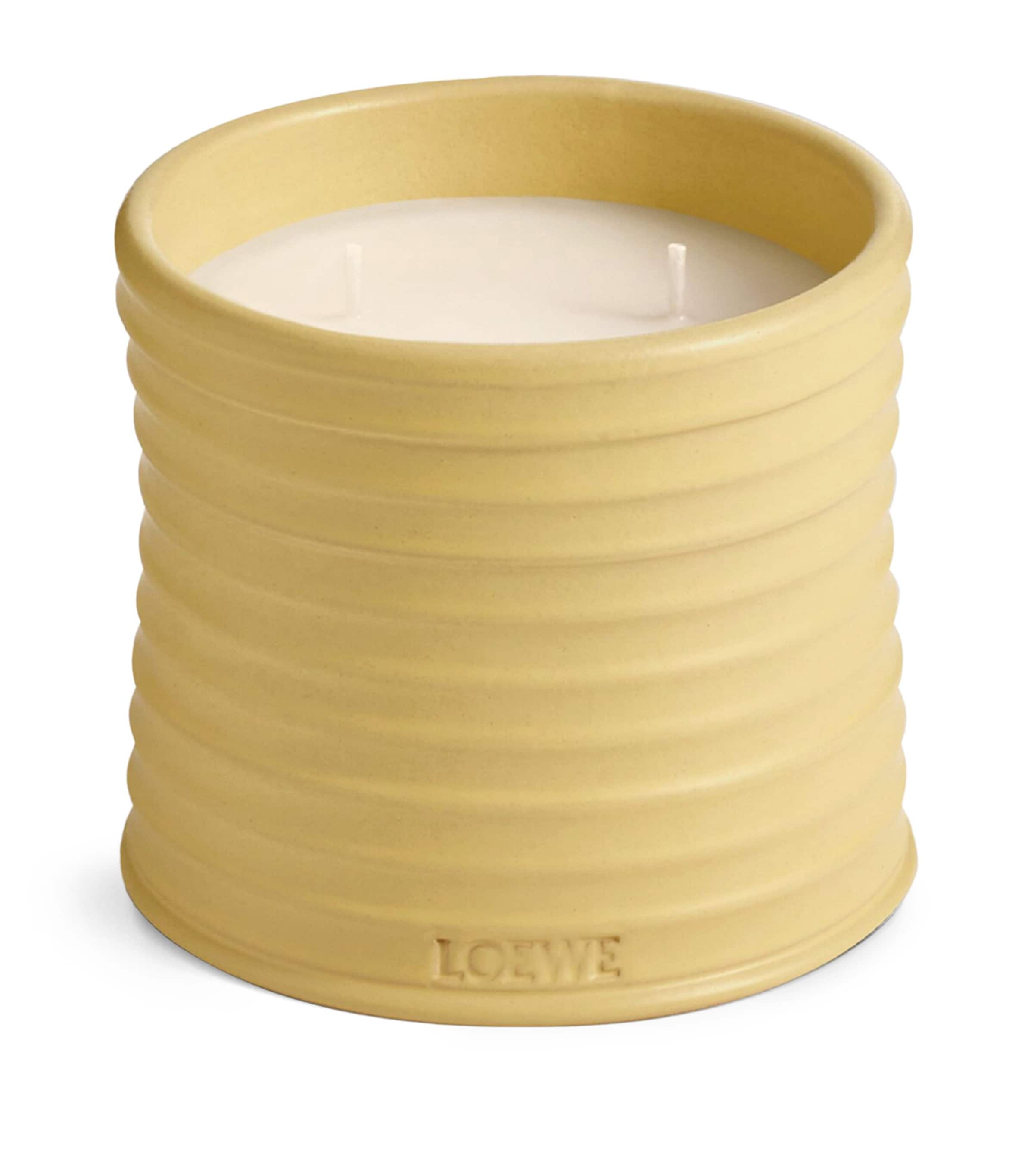 LOEWE Small Dendrochilum Orchid Scented Candle | Harrods US