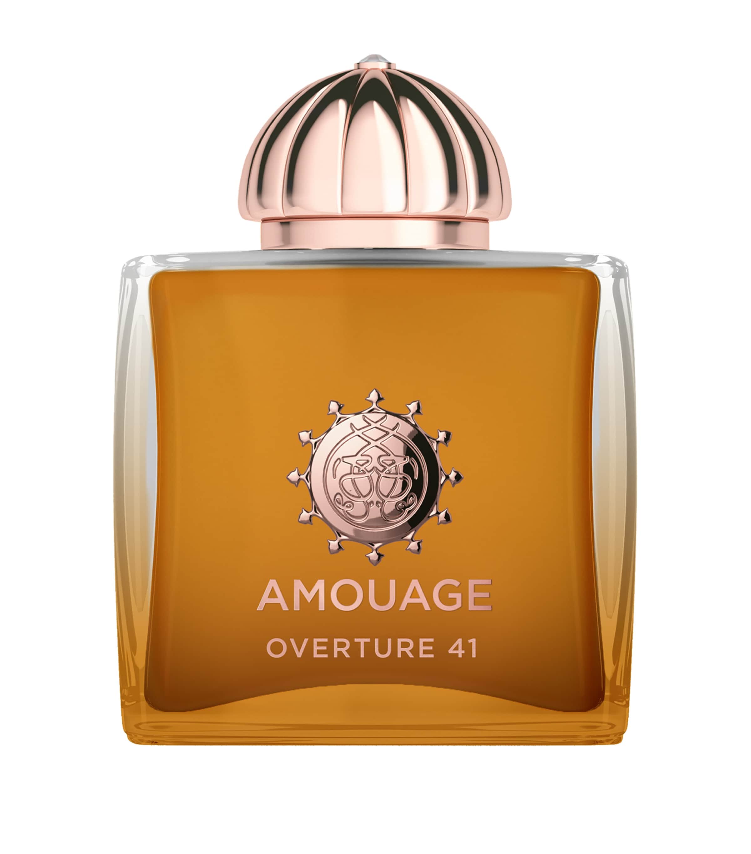 Amouage Overture 41 Extrait de Parfum (100ml)