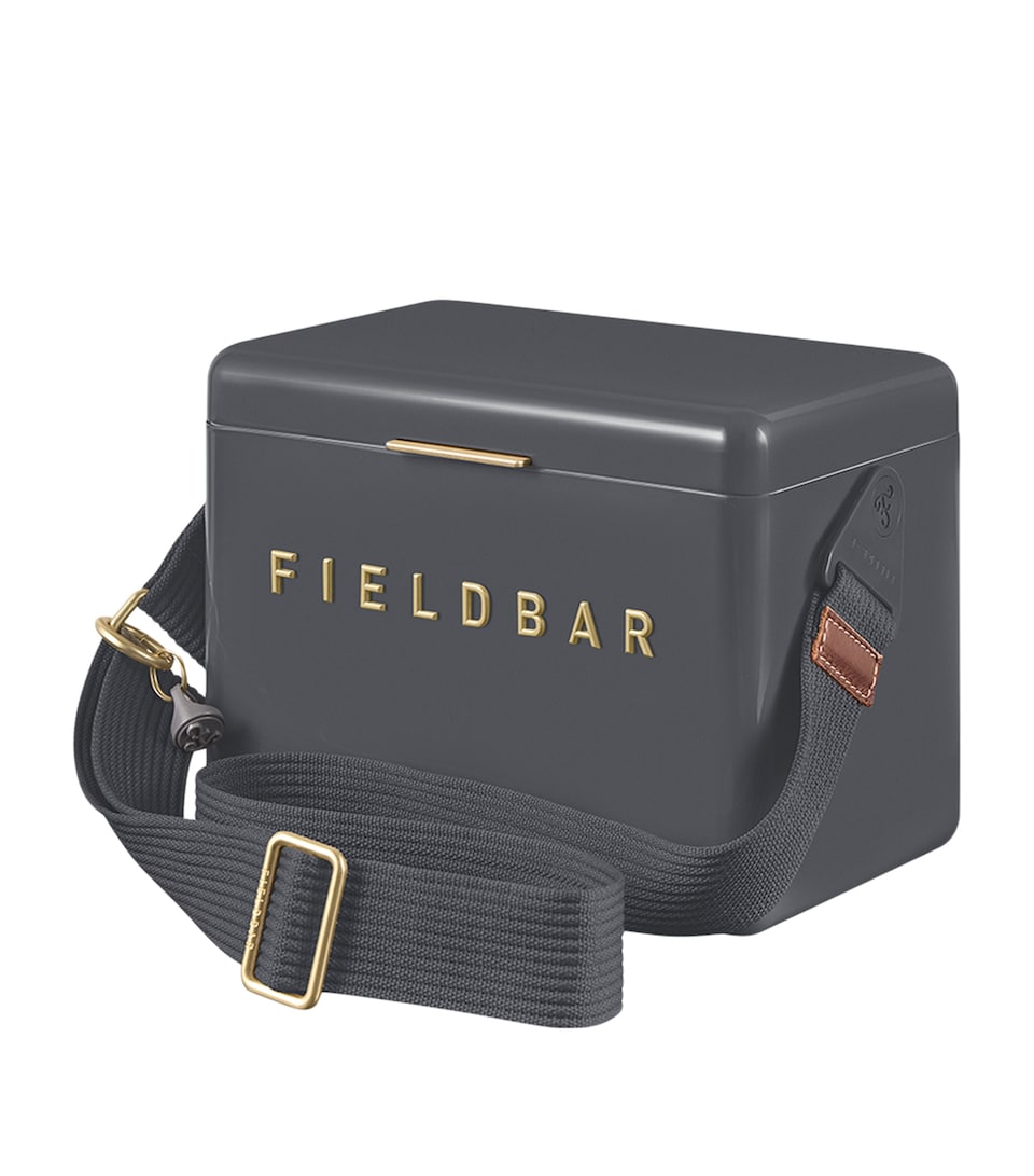 Fieldbar Mini Bar Cooler Box with Sling (4L) Grey