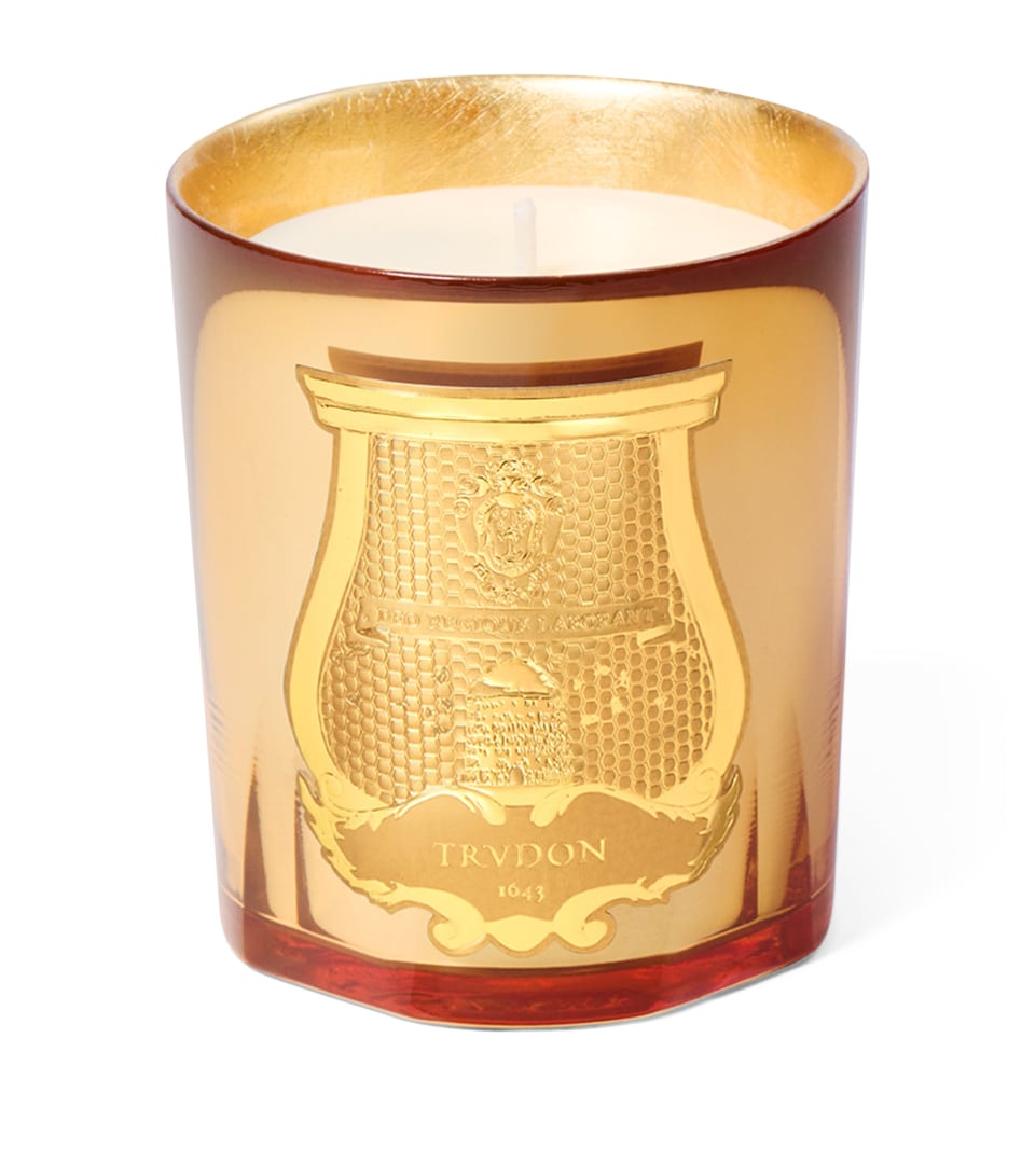 Trudon Galerie des Flammes Candle (270g) Gold