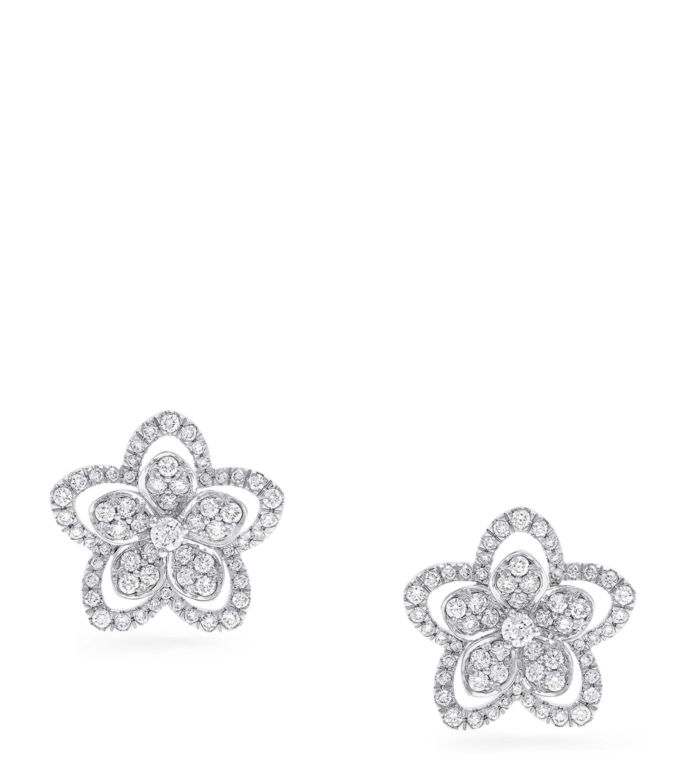 White Gold and Diamond Wild Flower Earrings