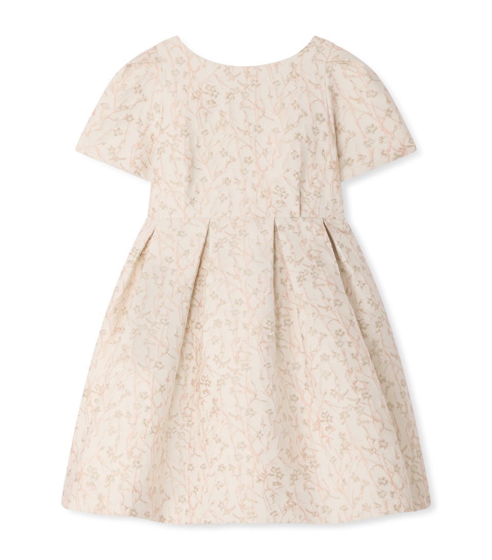 Floral Embroidered Occasion Dress (10-14 Years)
