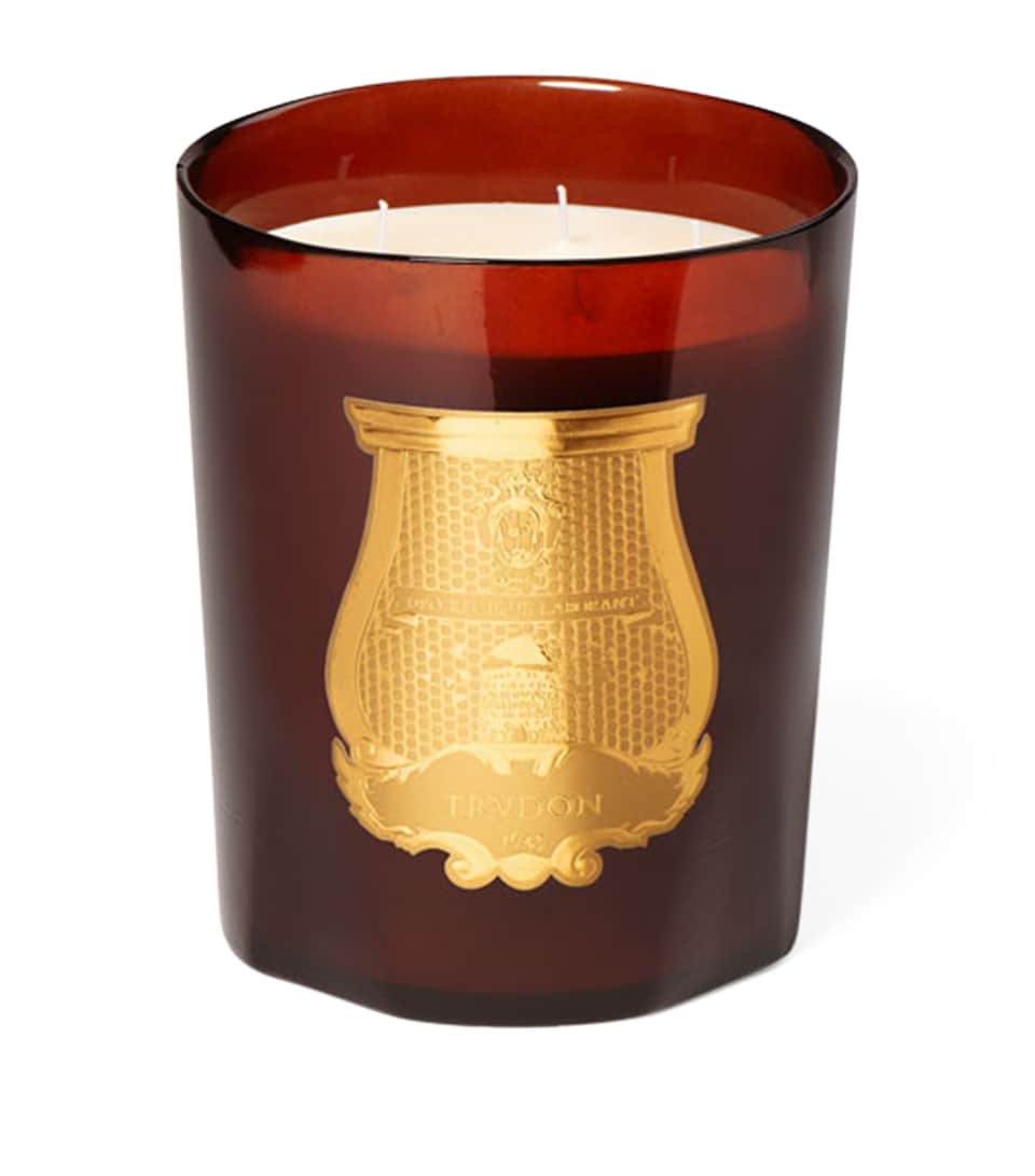 Trudon Cire Candle (2800g) Brown