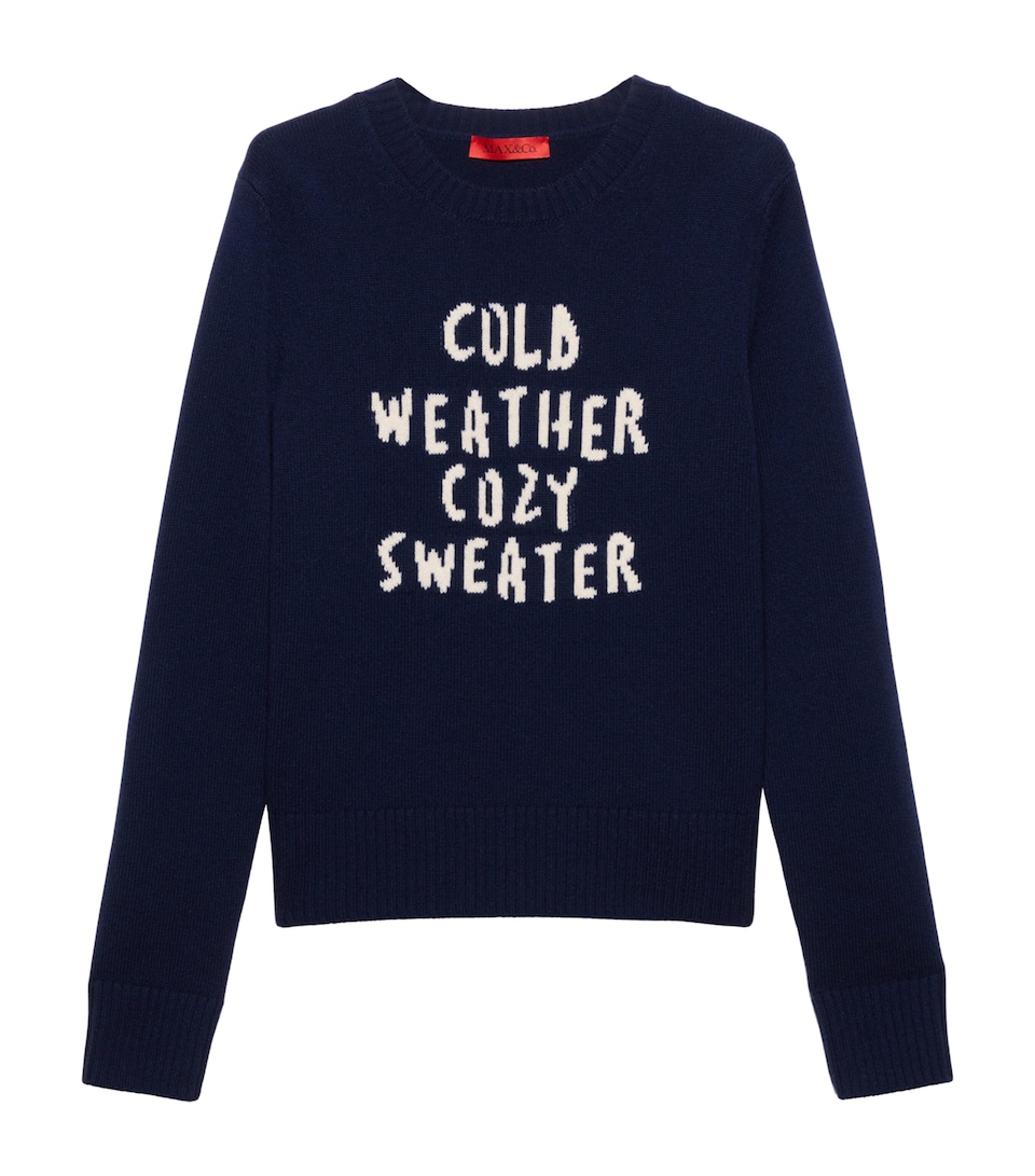 MAX&Co. Womens Wool-Cashmere Embroidered Sweater Navy