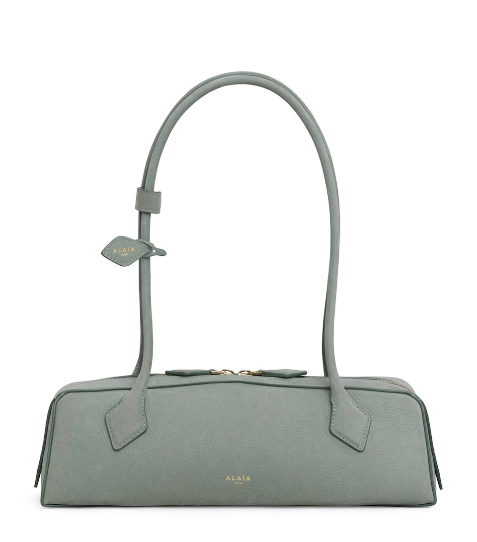 Medium Suede Le Teckel Shoulder Bag