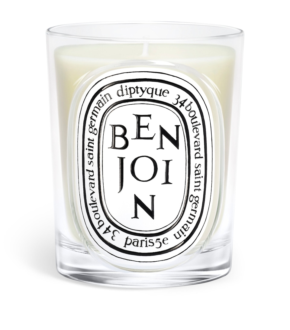 Diptyque Benjoin Candle (190g)