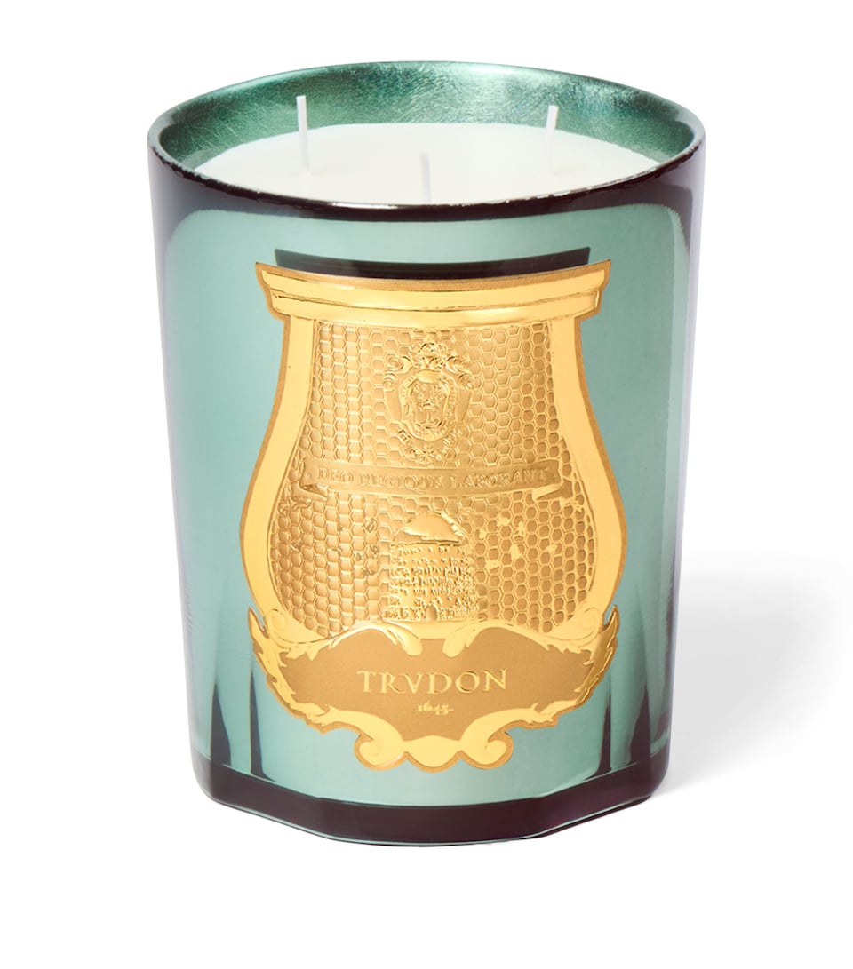 Trudon Fir Candle (800g) Celadon