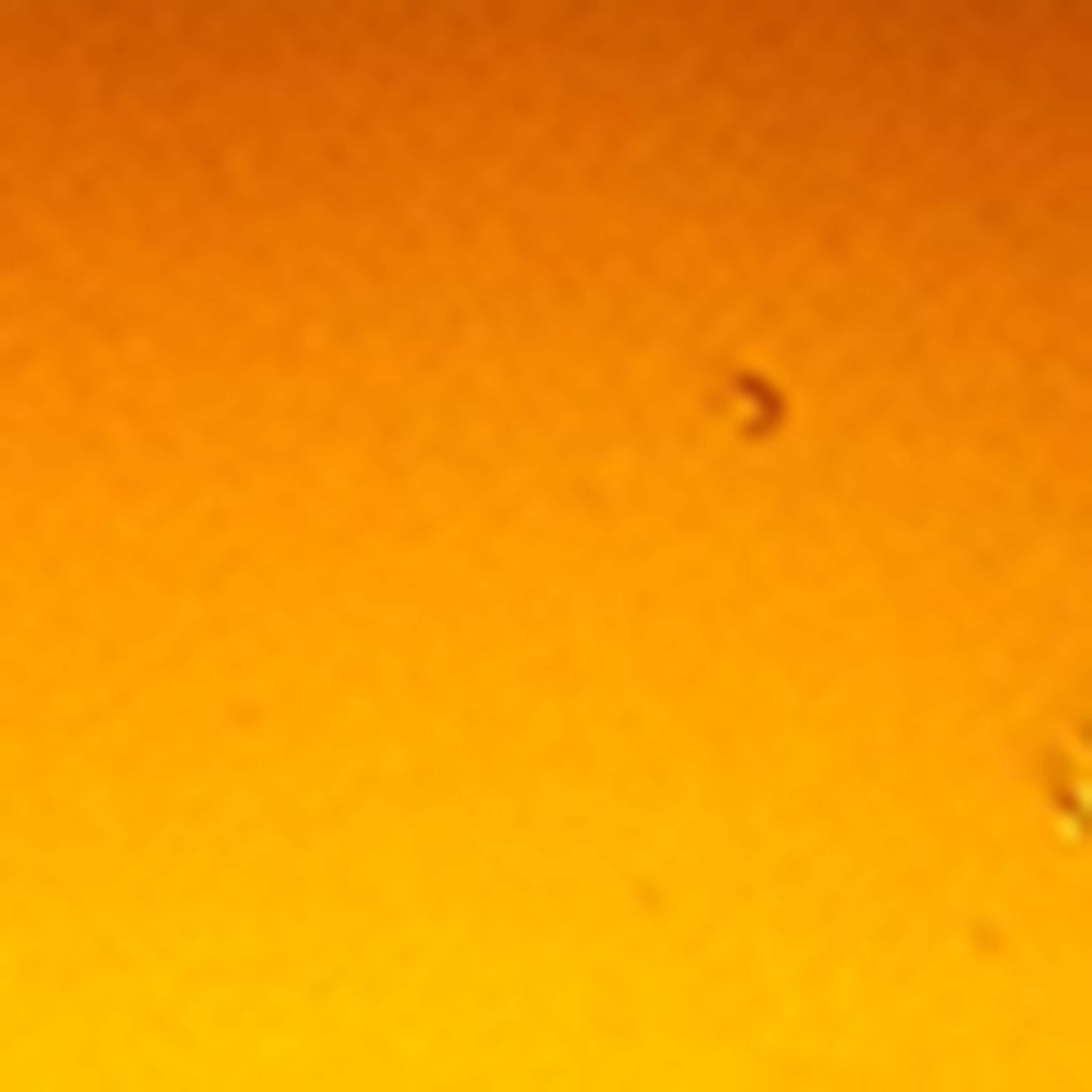 Coriander Seed Body Cleanser (500ml)