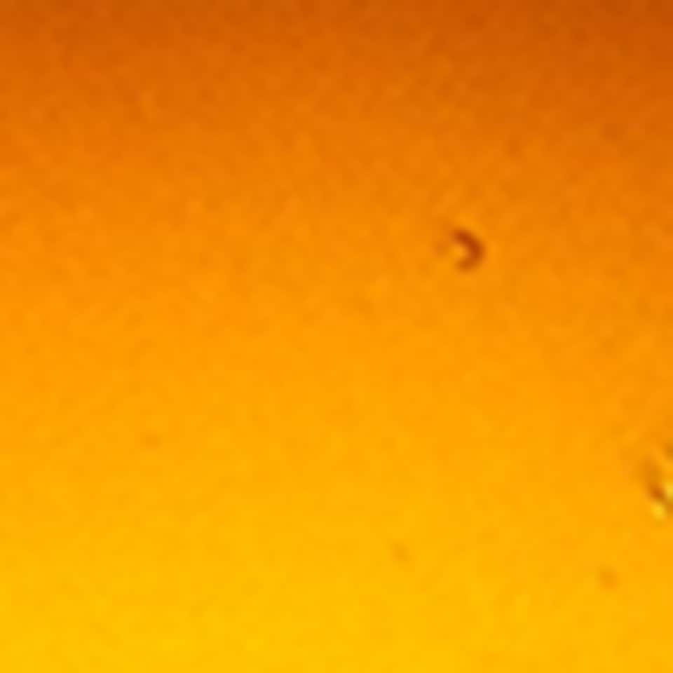 Coriander Seed Body Cleanser (500ml)