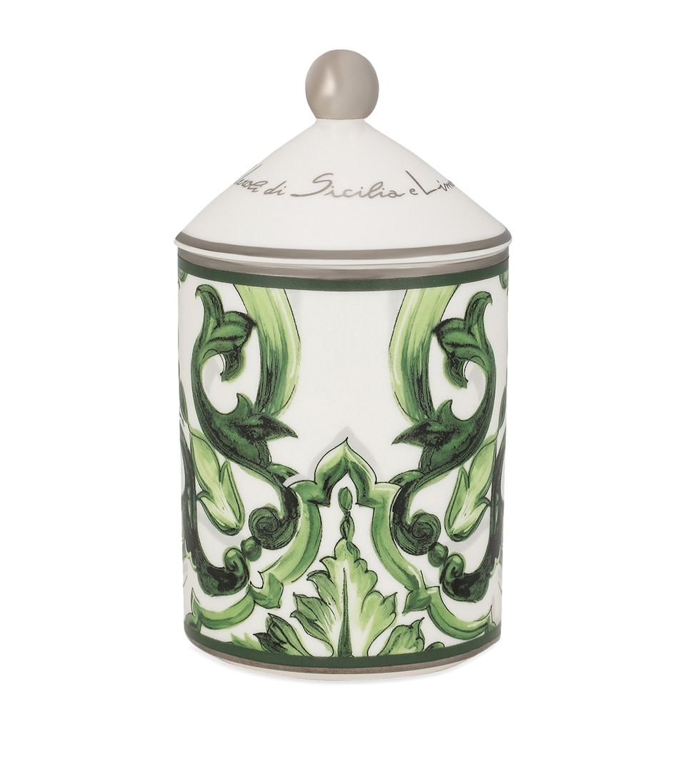 Dolce&Gabbana Casa Sicilian Neroli and Lemon Scented Candle (340g) Foglie Ver.f