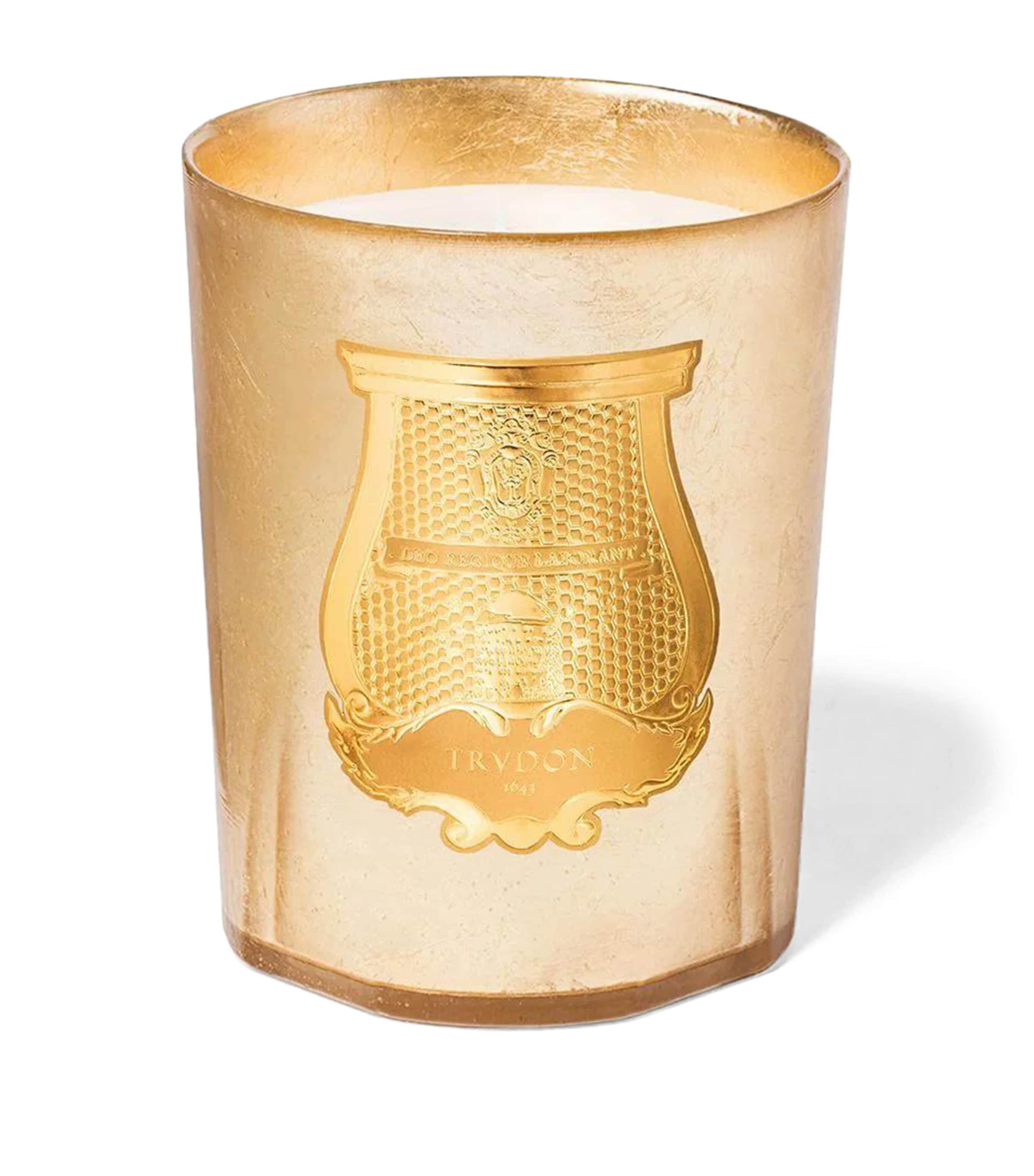 Trudon Spella Candle (2.8kg) Celadon