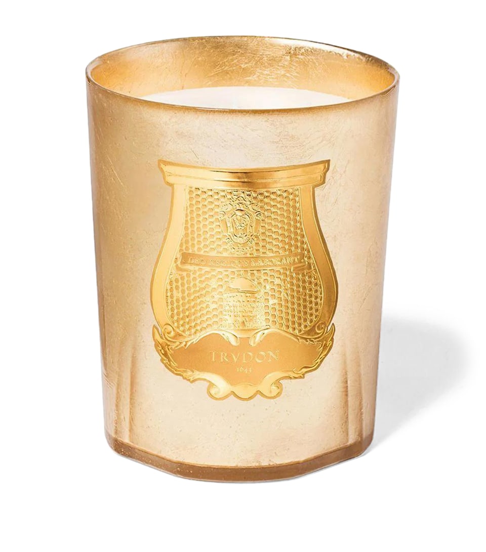 Trudon Spella Candle (2.8kg) Celadon