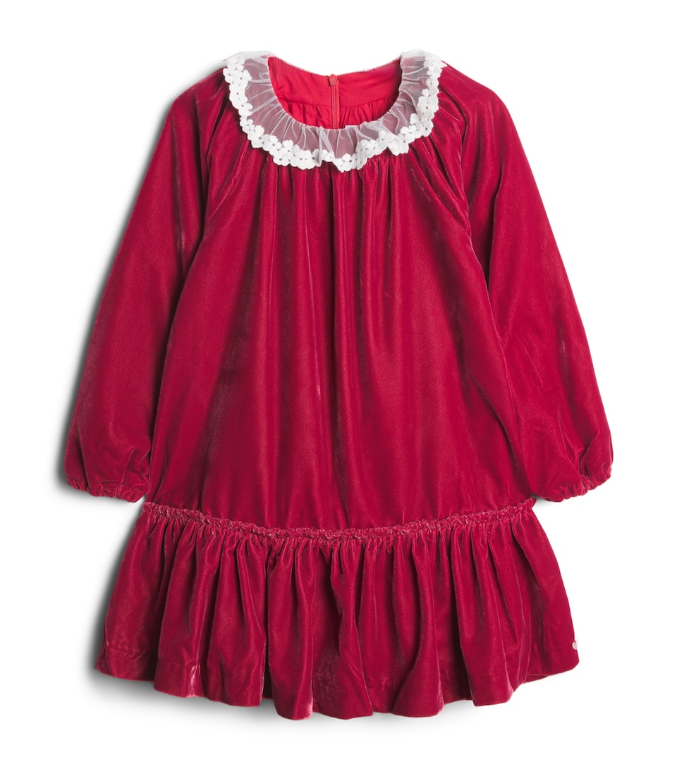 Tartine et Chocolat Velvet Tulle-Collar Dress (2-14 Years)