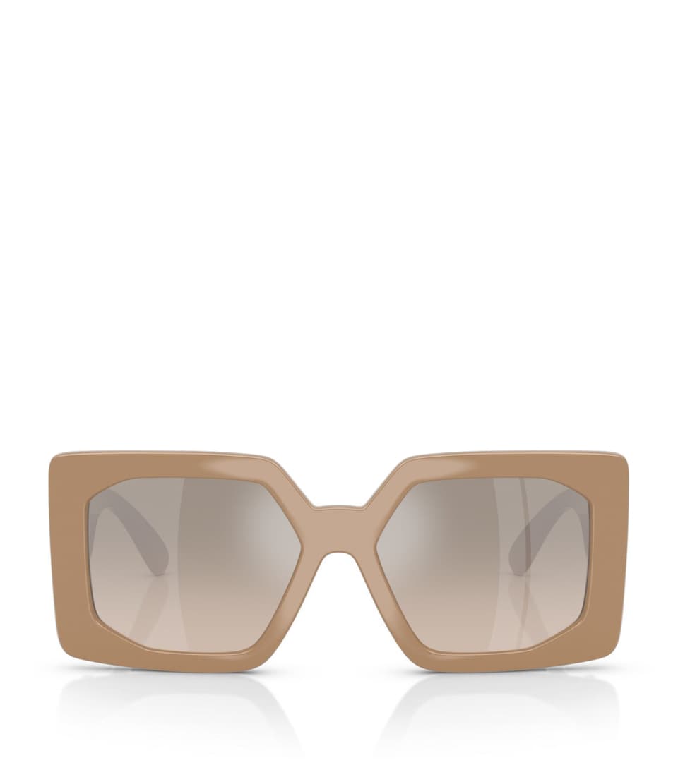 VE4478U BRN SHN SLV GM