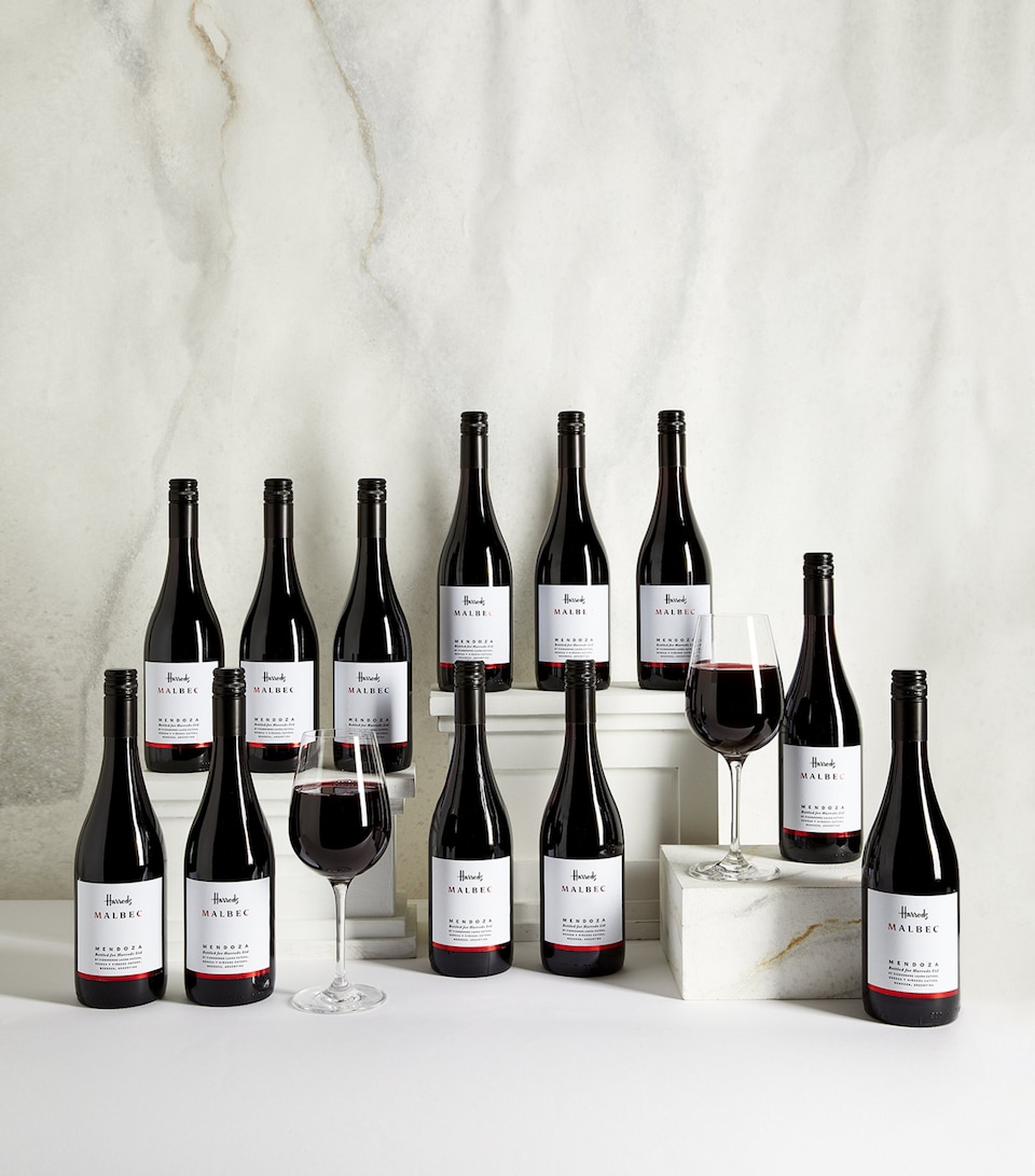 Malbec Wine Case (12 Bottles) - Mendoza, Argentina
