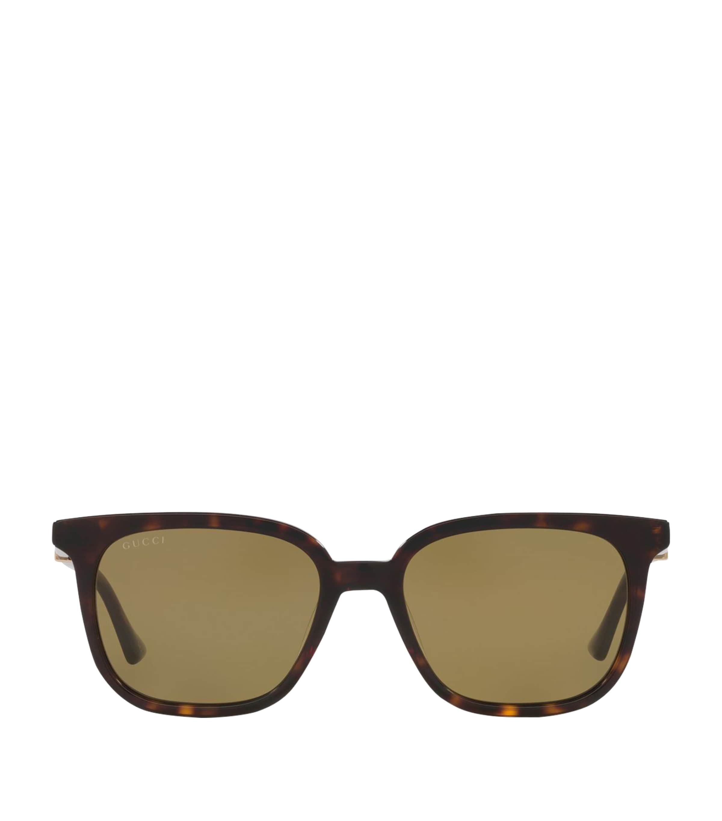 Acetate GG1493S Sunglasses