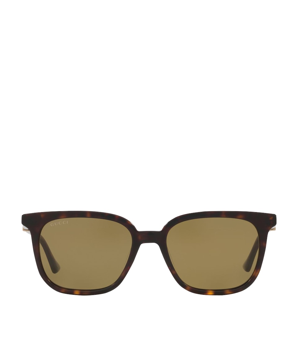 Acetate GG1493S Sunglasses