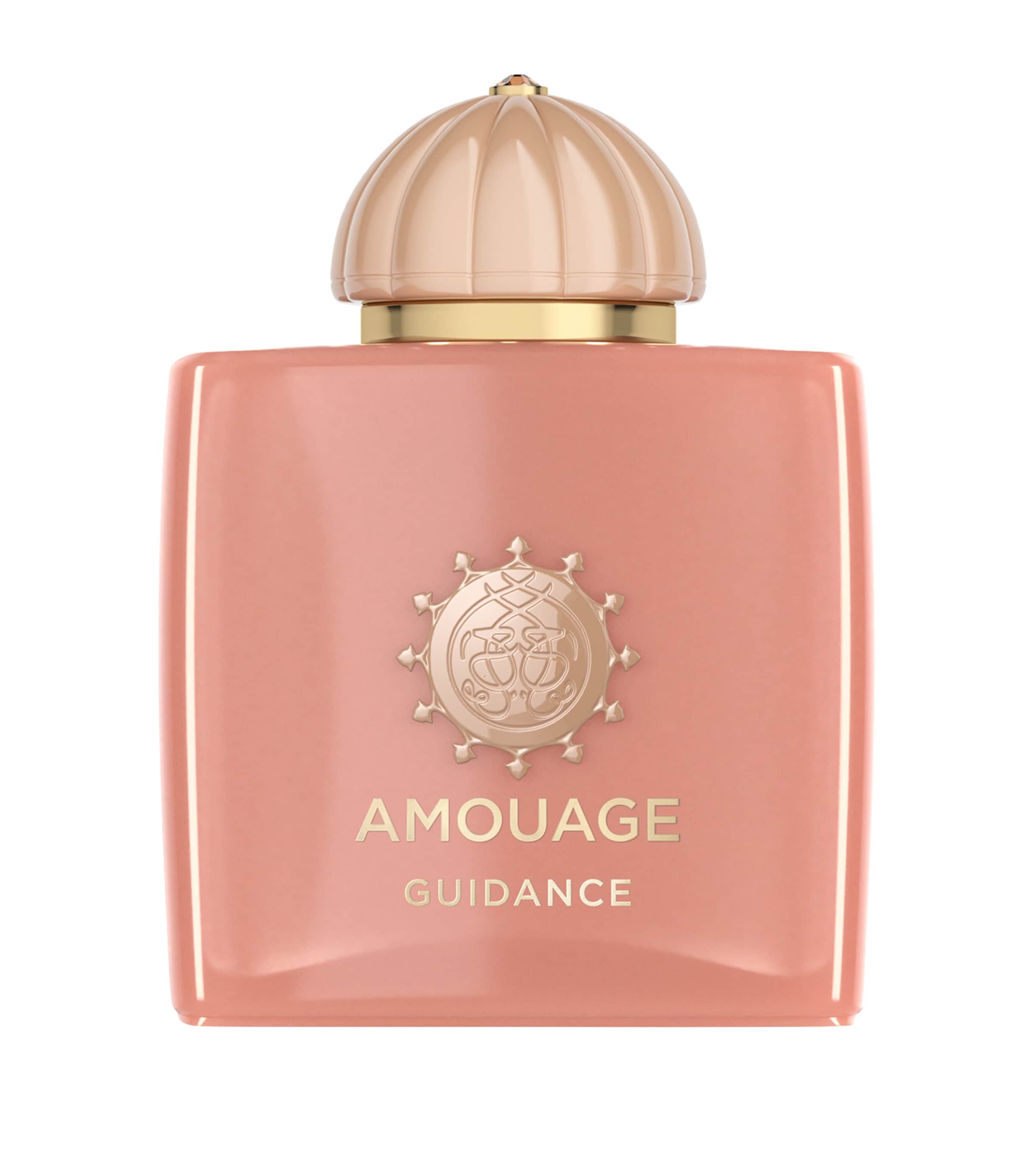 Amouage Guidance Eau de Parfum (100ml)