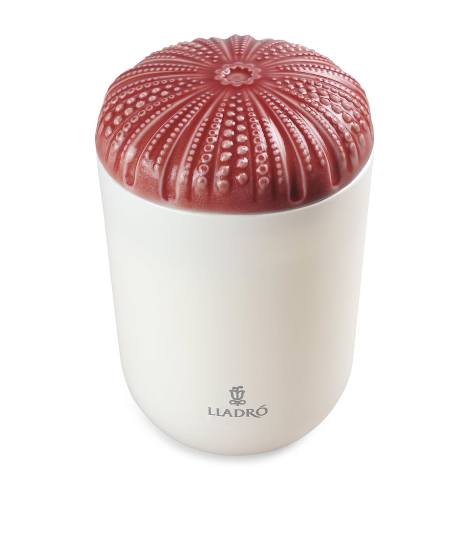 Echoes of Nature Unbreakable Spirit Scented Candle (200g)