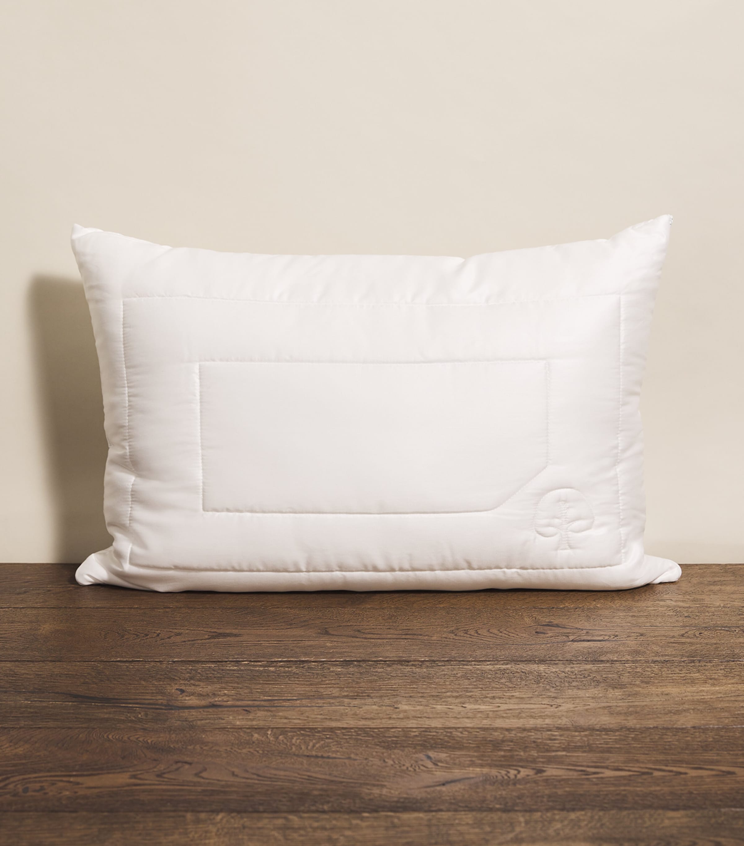 Eco Control Standard Pillow (50cm x 75cm)