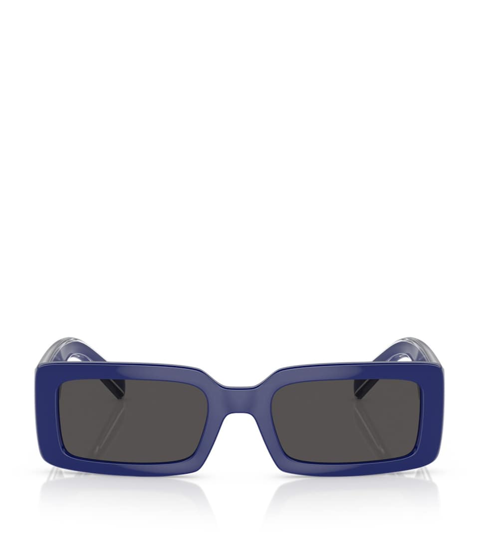 Injected 0DG6187 Sunglasses