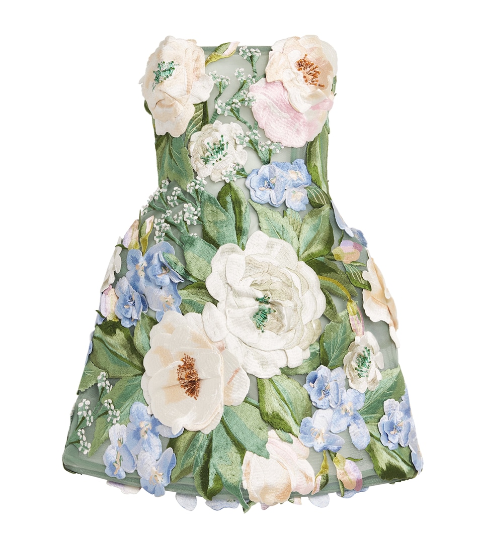 LEO LIN Womens Floral Embroidered Roselle Mini Dress Blossom