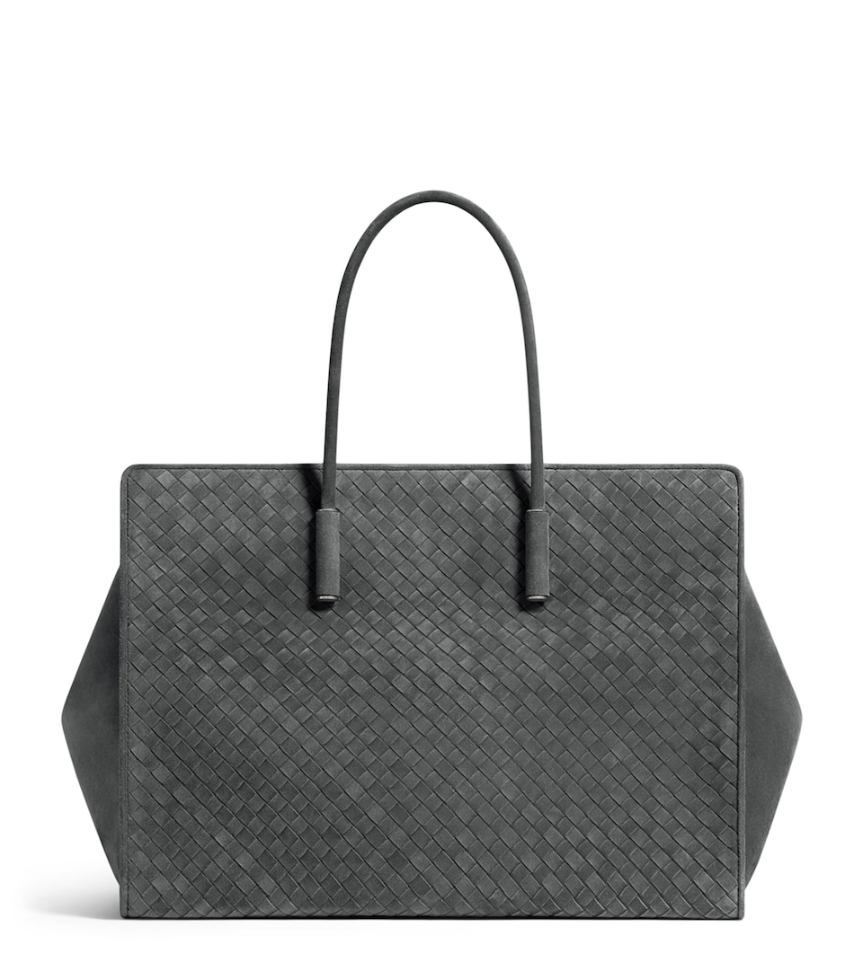 Bottega Veneta Large Suede Barbara Tote Bag