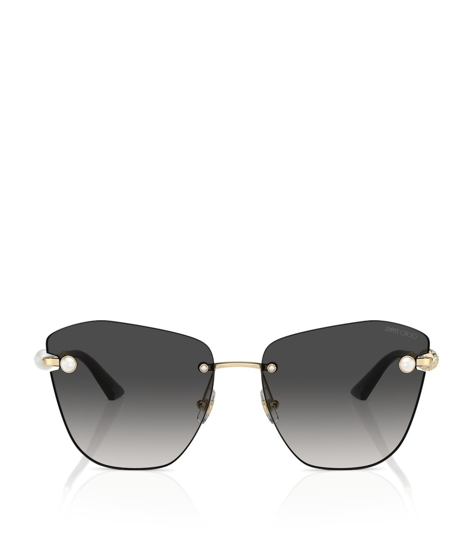 Jimmy Choo Acetate JC4004HB Sunglasses