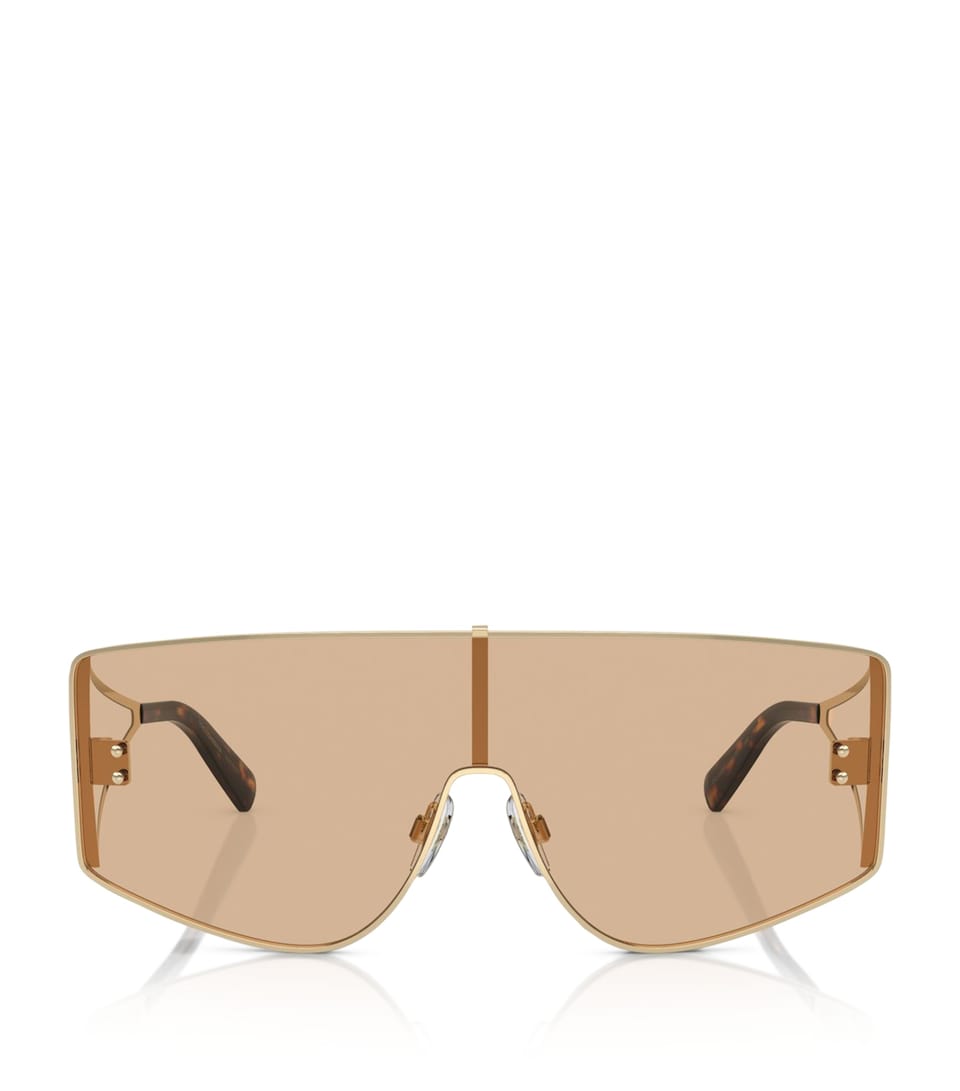 Dolce&Gabbana Metal DG2305 Sunglasses