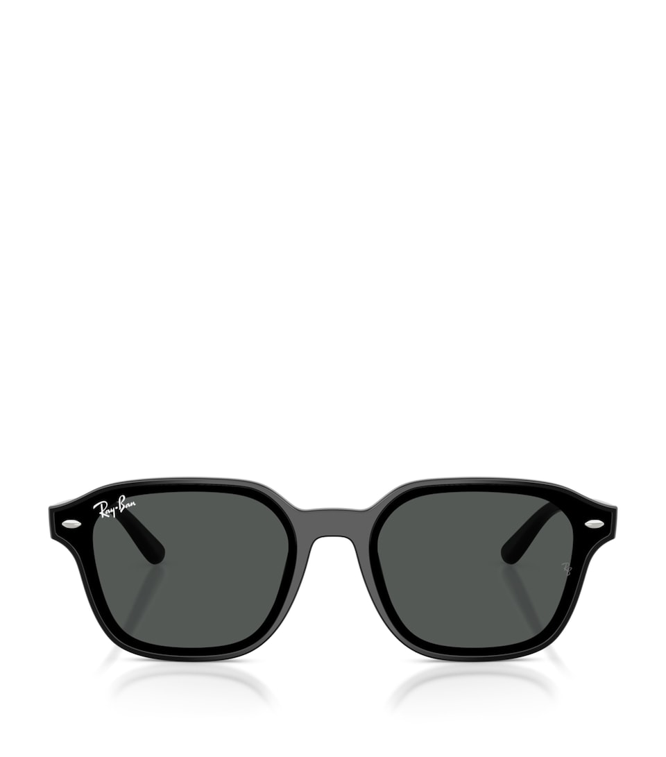 RB4458D Square Sunglasses