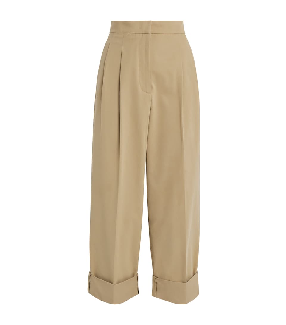 Pleated Wide-Leg Tapered Trousers