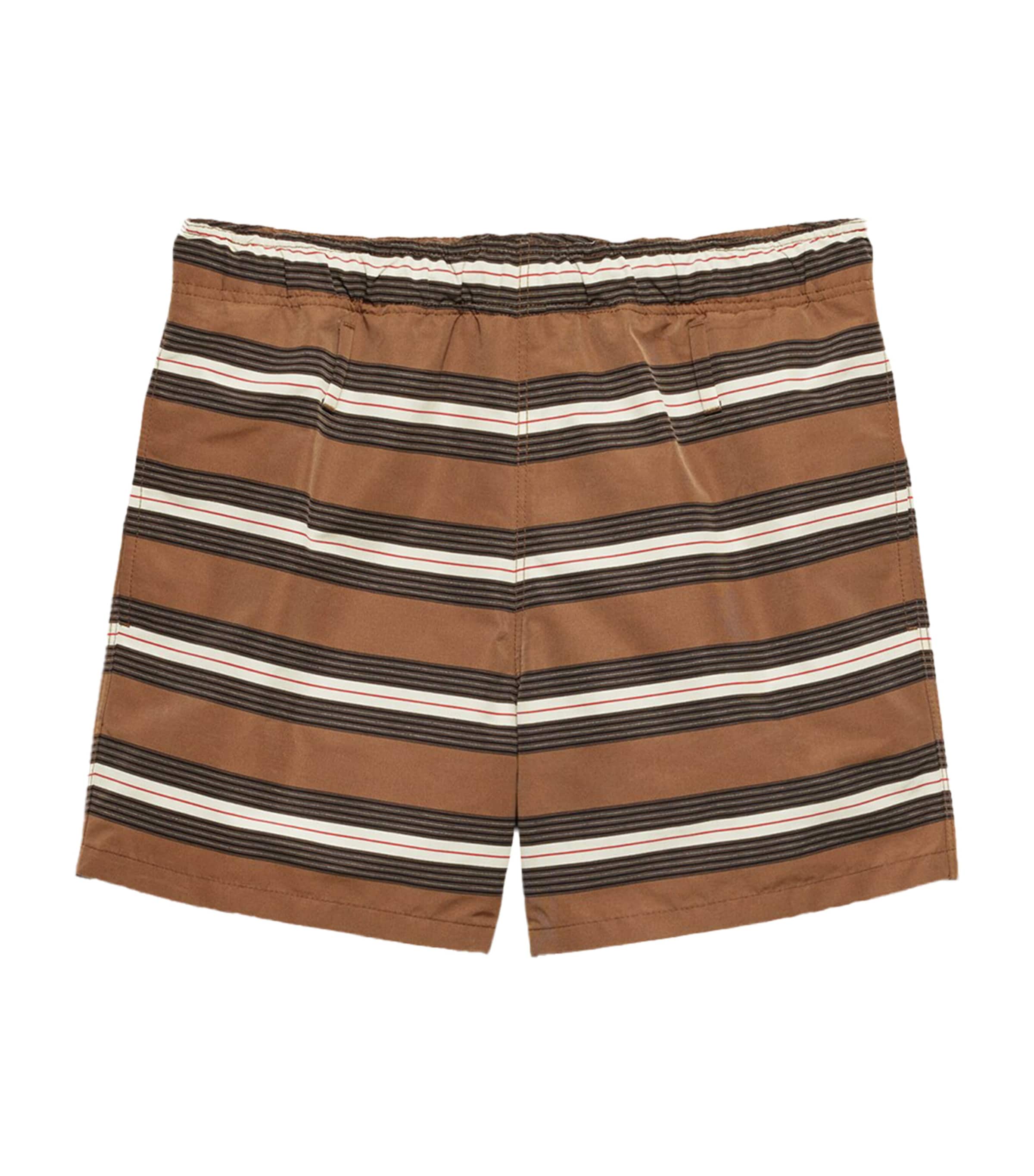 Stripe Swim Shorts