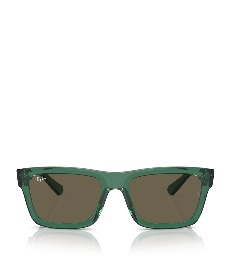 Ray-Ban Acetate 0RB4396 Sunglasses