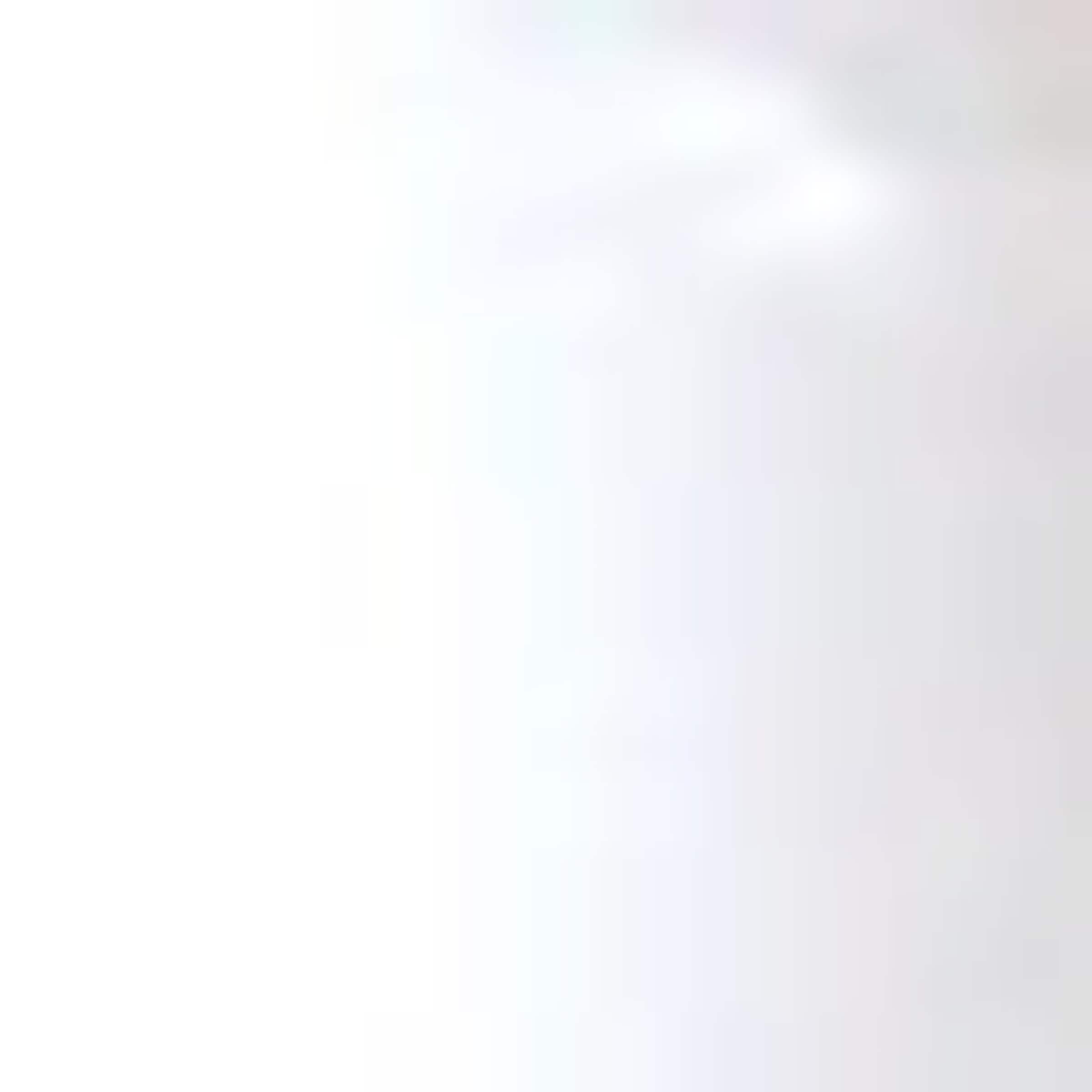 Courtly Check Placemats (Set of 4)