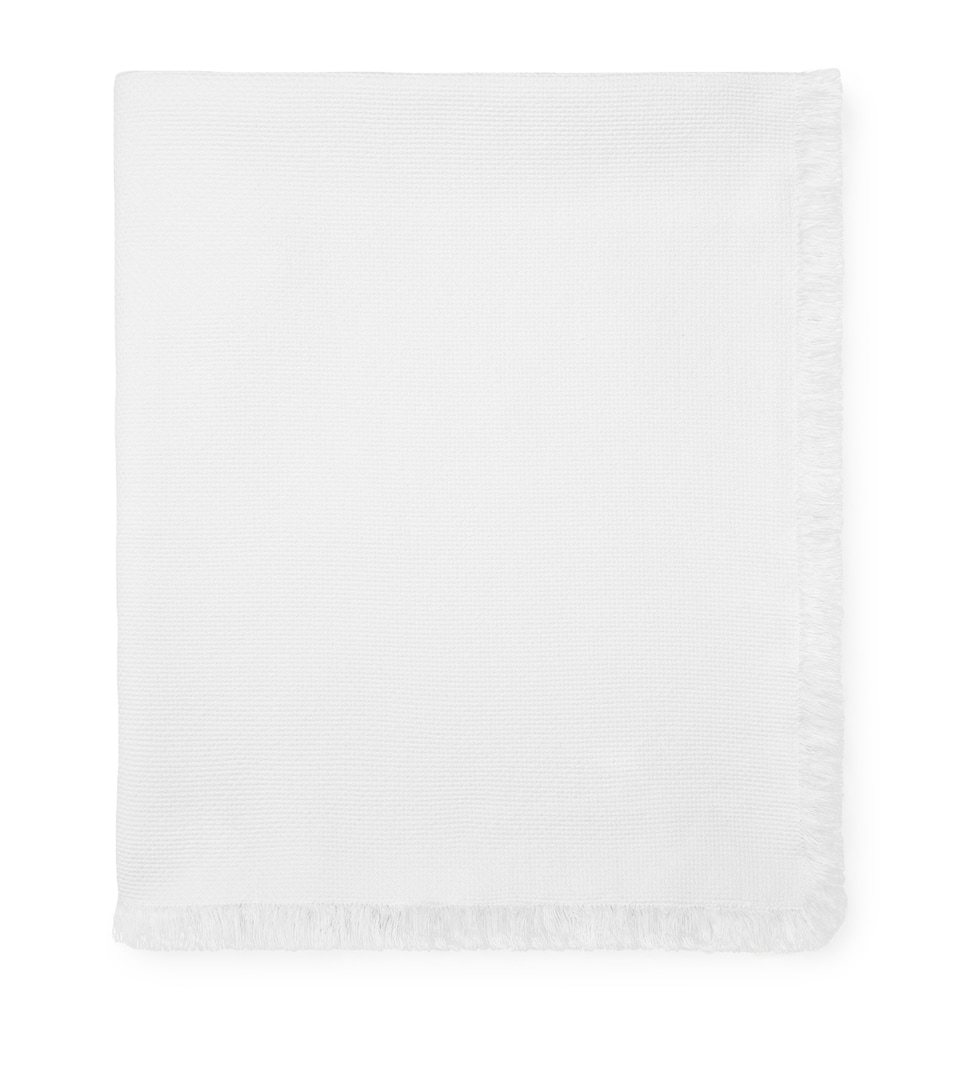 Pratesi Cotton Pistoia Blanket (305cm x 245cm) White