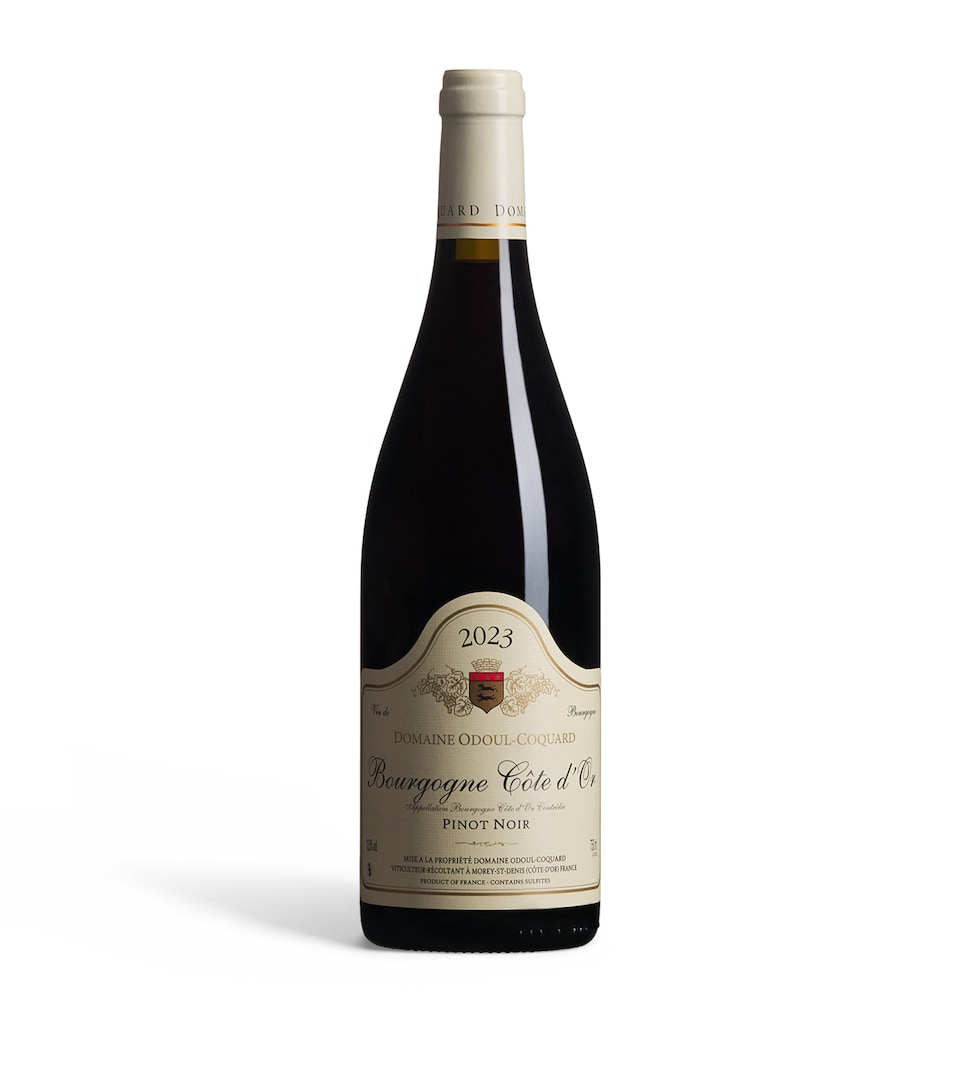 Odoul Coquard Domaine Odoul-Coquard Bourgogne Rouge 2023 (75cl) - Burgundy, France